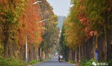 初秋的顺峰山公园