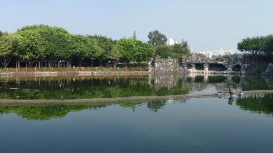 风景秀丽的中山公园