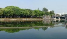 风景优美的中山公园