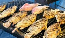 一份意外的收获