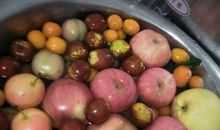 这个秋天我多么快乐