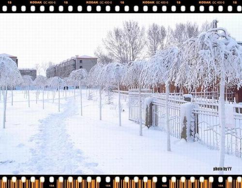 真是一场雪