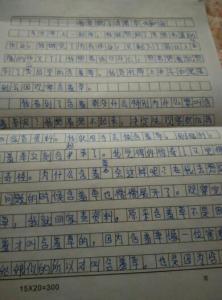 三本小金鱼观察日记