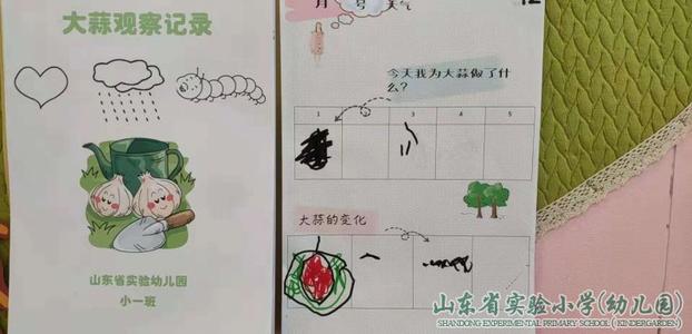 大蒜种植的启示