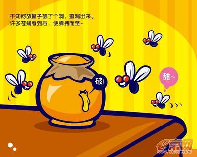 烦人的苍蝇