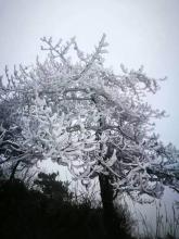 今年冬天的第一场雪