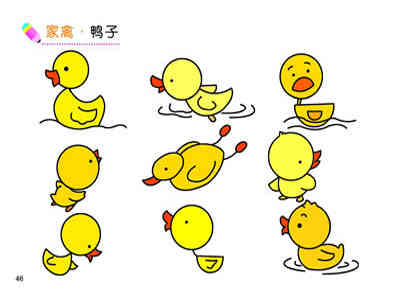 我的伴侣鸭