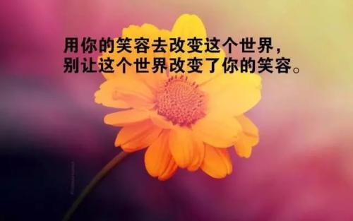 一句话启发了我
