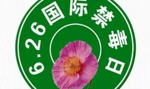 健康生活绿色无毒