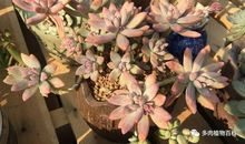 岁月不饶，时光浅然