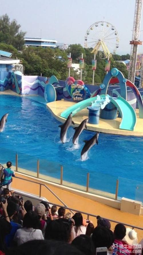 香港水族馆之旅