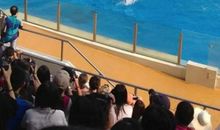 香港海洋馆之旅