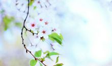 酸甜苦辣话校园