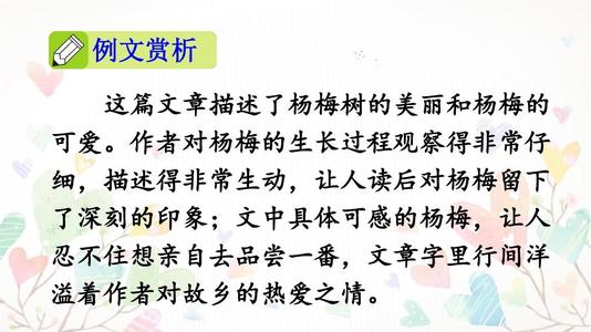 我们眼中的多彩世界