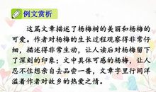 我们眼中的缤纷世界