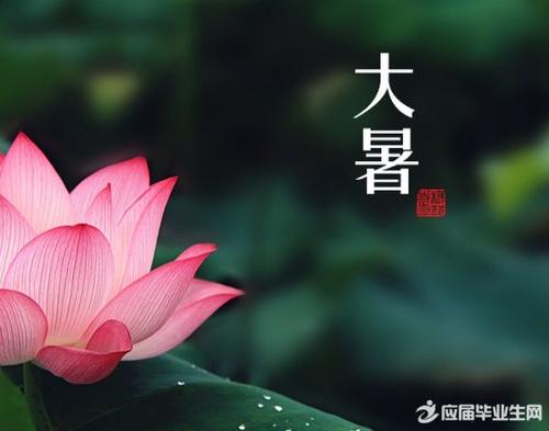 组成400字