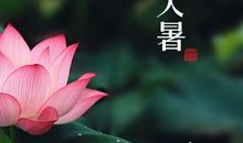 写大暑的作文400字