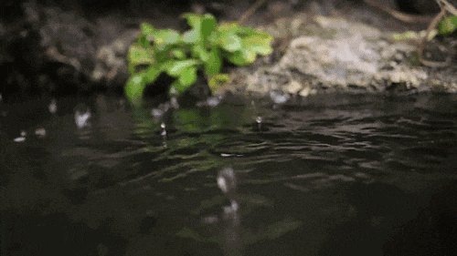 春雨来了