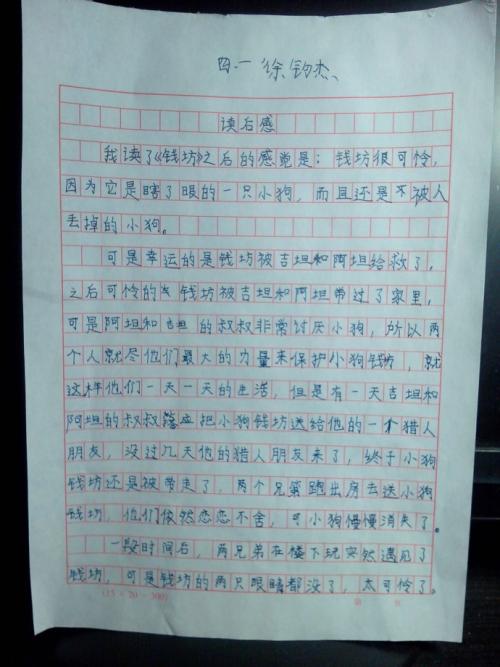 我的兄弟和牛