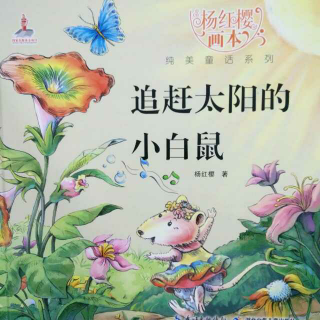看完那些追赶太阳的孩子