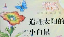 追赶太阳的孩子读后感