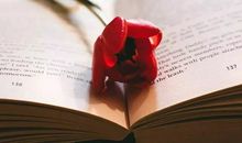 用善良换取善意