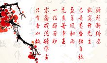 梅花给予我信心