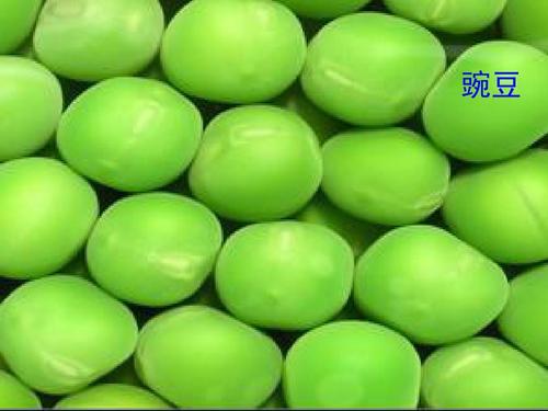 豌豆的梦想