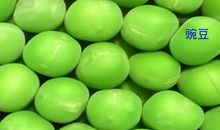 一颗豌豆的梦想