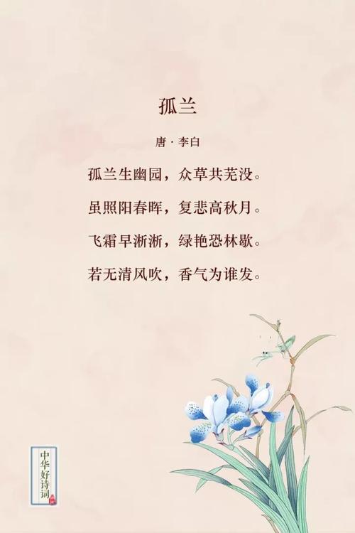 遇诗遇美