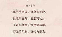 遇见诗词邂逅美好