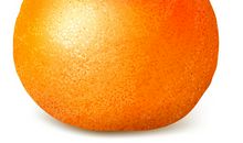 我最喜欢的桔子