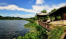 爱在风景深深处