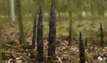 冲破心灵的禁锢