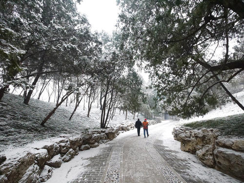 我家乡的第二场雪