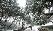 家乡的第二场雪