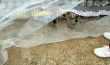 给释怀留些空隙