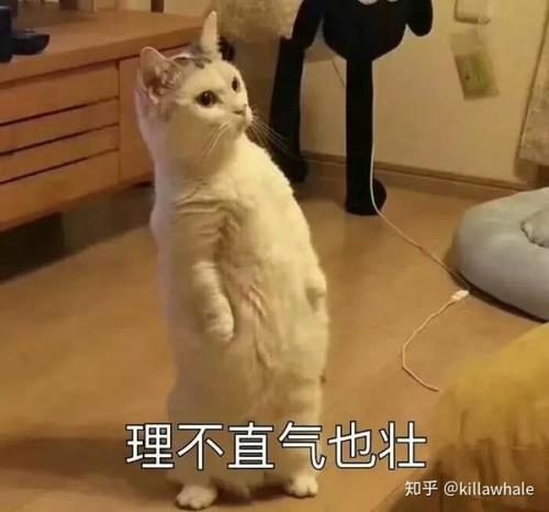 聪明我