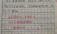 围绕中心意思写一个字作文妙