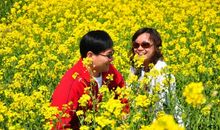 油菜花让我陶醉