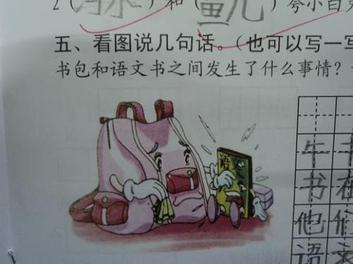 一本中文书的心痛