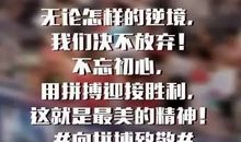 女排精神再放光芒读后感