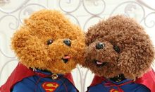 我最喜欢的一种玩具