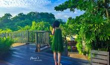 我眼中最美的风景