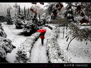 冬天的第一场雪