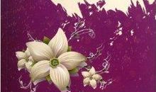 友情之花在我心中绽放