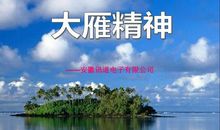 《大雁的故事》观后感