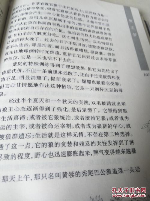 可以狼灰