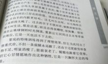 残狼灰满读后感