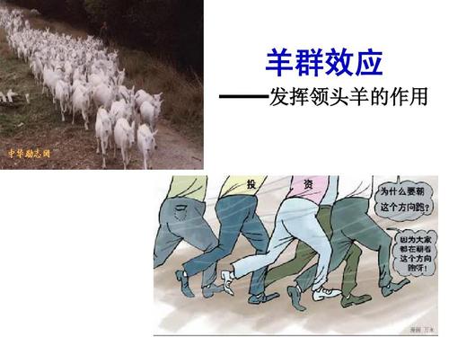 羊群效应